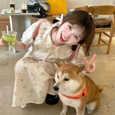 寻宝侦探